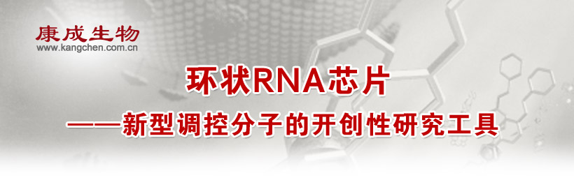 �h(hu��n)��RNAоƬ���������{(di��o)�ط��ӵ��_��(chu��ng)���о�����