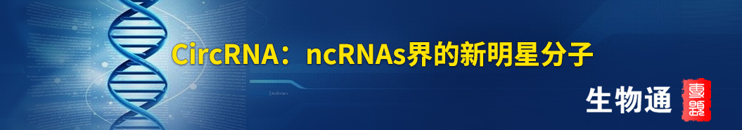 CircRNA��ncRNAs��������Ƿ���